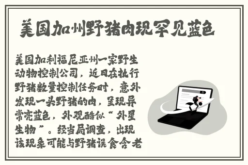 91麻豆精品一级**毛片